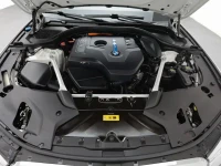 BMW 5 Series New Energy 2020 530Le Range Upgrade Luxury Package