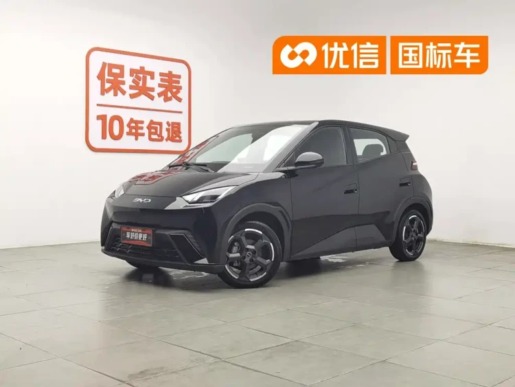BYD Seagull 2024 Glory Edition 305km Freedom Edition