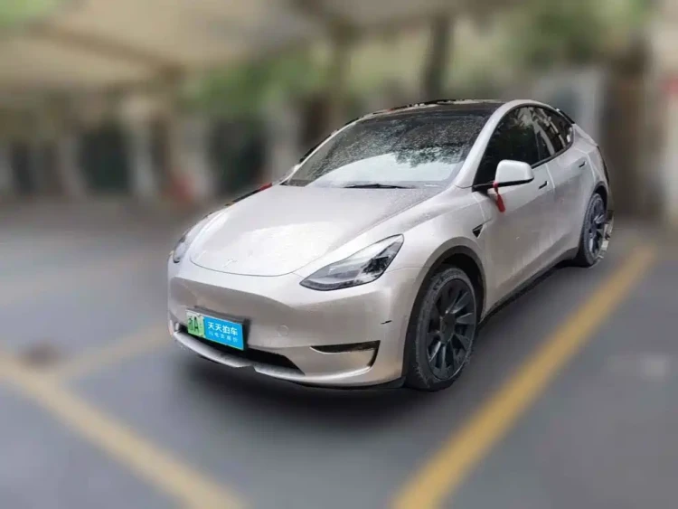 Tesla Model Y 2021 Standard Range Rear-Wheel Drive
