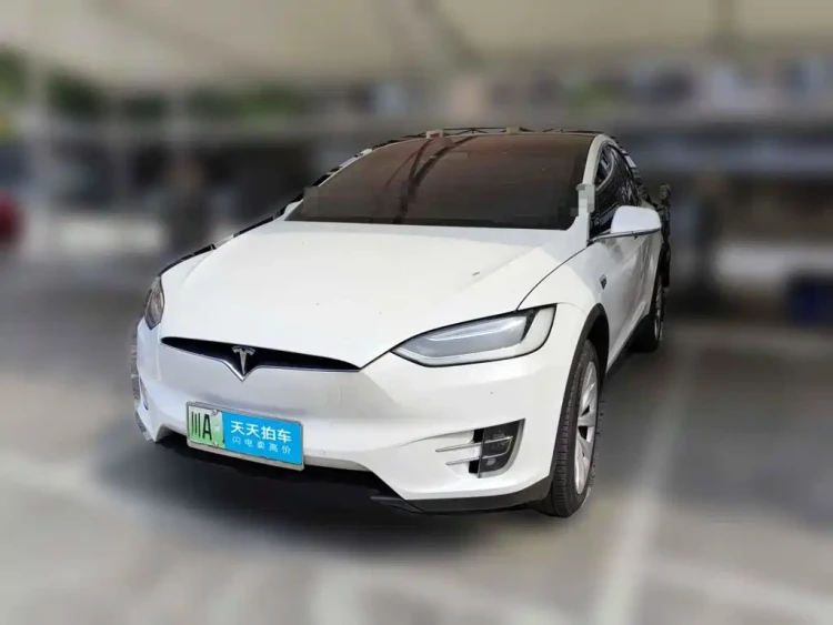 Tesla Model X 2017 Model X 100D Long Range