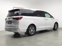 Buick GL8 2021 ES Landlord 653T Premium