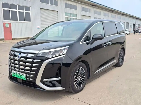 Denza D9 2024 DM-i 980 AWD Premium