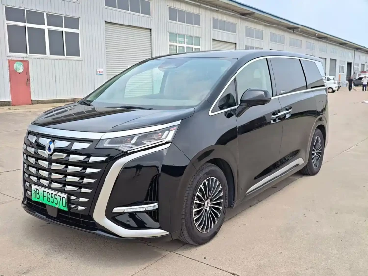 Denza D9 2024 DM-i 980 AWD Premium