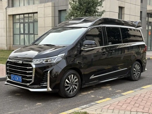 Longzhi G20 Golden Knight 2022 2.0T Golden Knight Family Edition