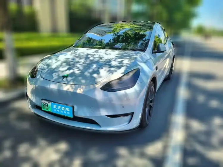 Tesla Model Y 2021 Standard Range Rear-Wheel Drive