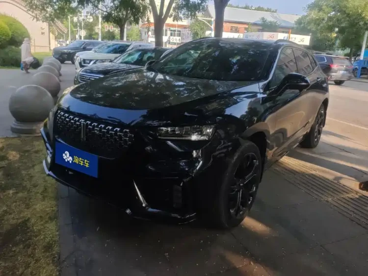 WEY VV7 2021 Model 2.0T Technology Edition