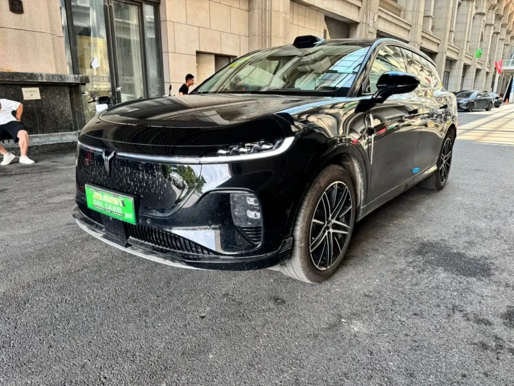 Voyah Auto Voyah Zhiyin 2025 Base