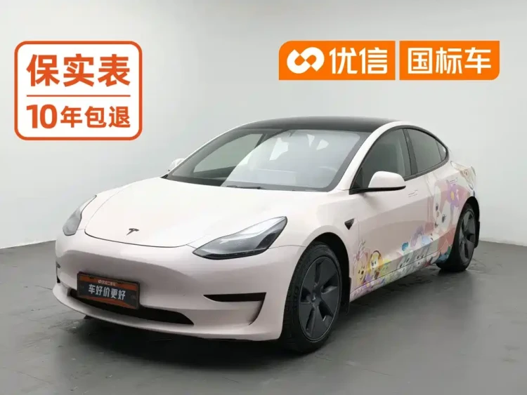 Tesla Model 3 2021 Standard Range Rear-Wheel Drive Upgrade 3D6