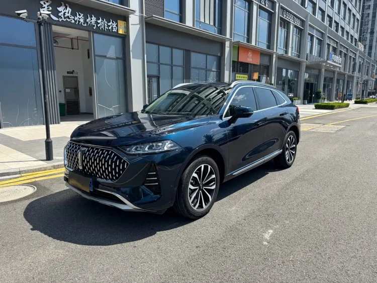 WEY Mocha 2021 2.0T 4WD Premium Edition