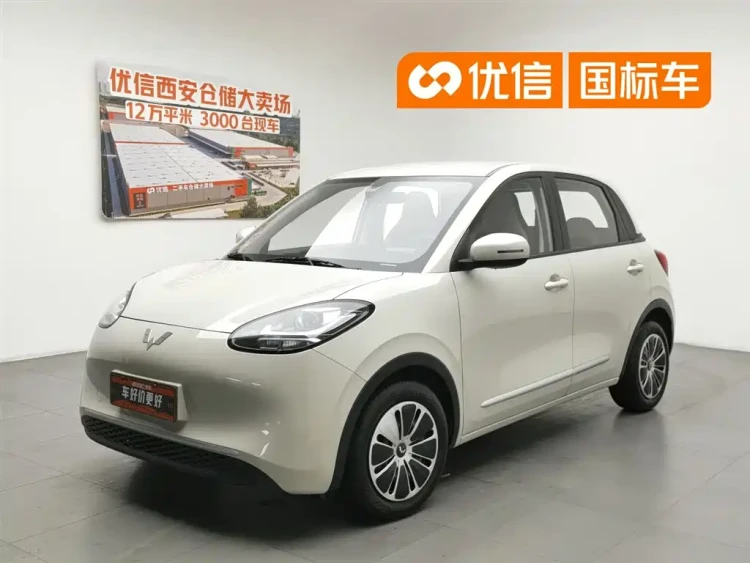 Wuling Motors Wuling Bingo 2023 Model 203km Lite Enjoyment Edition