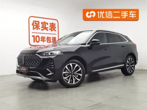 WEY Mocha 2021.05 64900 км