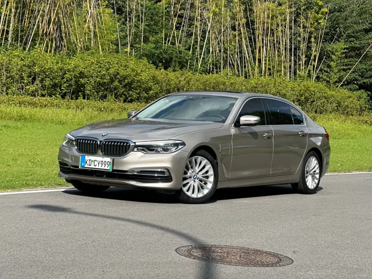 BMW 5 Series New Energy 2020 530Le Range Upgrade Pioneer Edition
