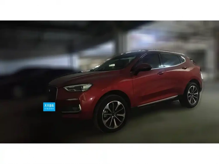 Haval F5 2019 National Trend Edition 1.5T iStyle China VI