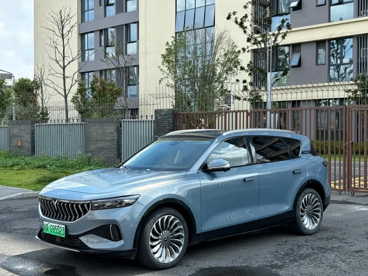 Voyah Auto VOYAH FREE 2021 AWD Standard Range Extender Exclusive Luxury Package