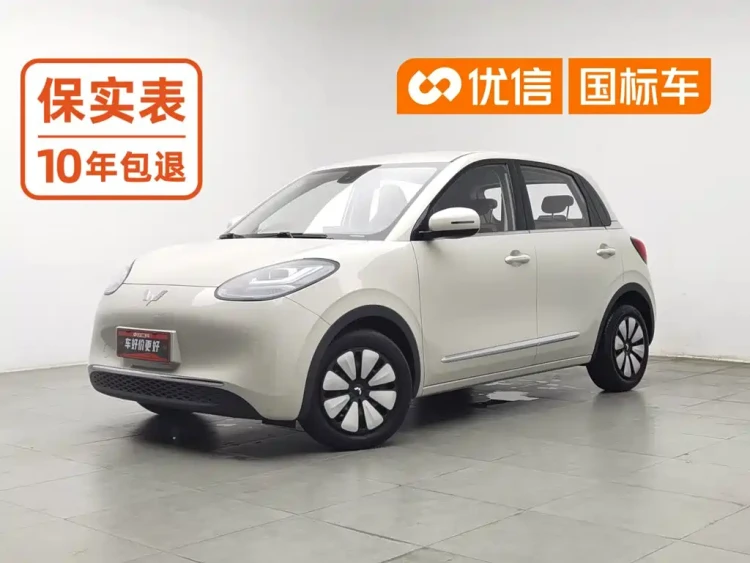 Wuling Motors Wuling Bingo 2023 203km Comfort Version