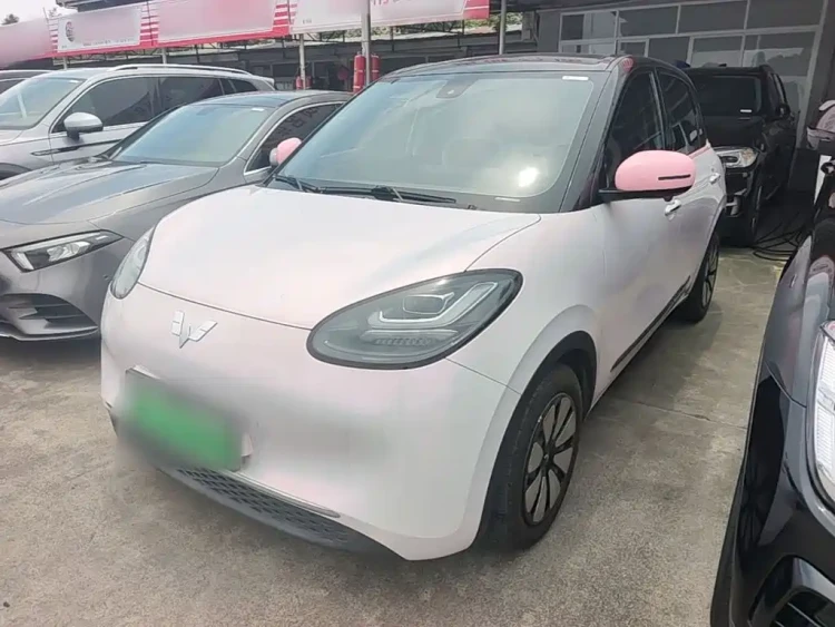 Wuling Motors Wuling Bingo 2023 333km Quick Enjoy Version