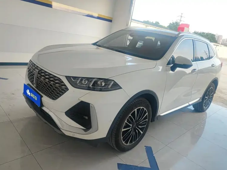 WEY Latte DHT 2022 1.5T DHT Large