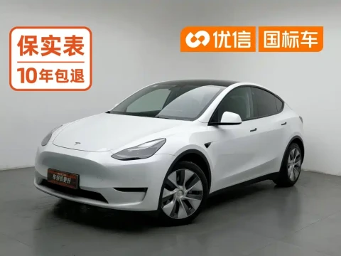 Tesla Model Y 2021 Standard Range Rear-Wheel Drive