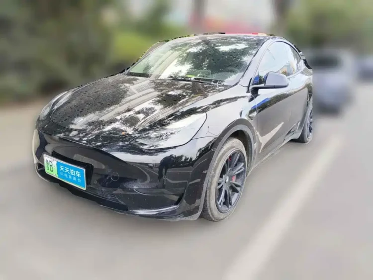 Tesla Model Y 2022 Rear-Wheel Drive Version