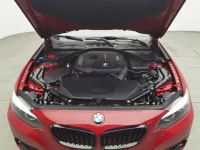 BMW 2 Series (Import) 2019 225i Convertible Coupe Sport Design Package