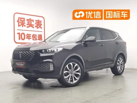 WEY VV6 2020 2.0T 2WD Smart Protection+
