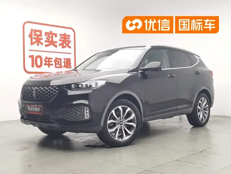 WEY VV6 2020 2.0T 2WD Smart Protection+