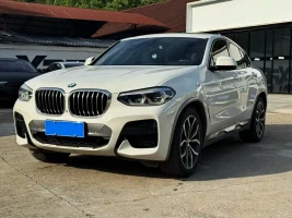 BMW X4 2019 xDrive30i M Sport Package