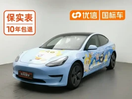 Tesla Model 3 2022 Model Rear-Wheel Drive Version