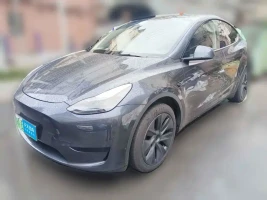 Tesla Model Y 2024 Rear-Wheel Drive Version