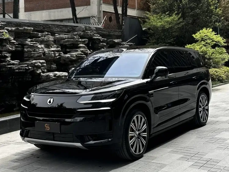 Denza N9