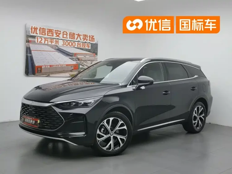 BYD Tang New Energy 2025 DM-i 115KM Prestige Type