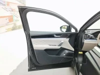 BYD Tang New Energy 2025 DM-i 115KM Prestige Type