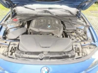 BMW 3 Series 2019 320Li M Sport Black Night Edition
