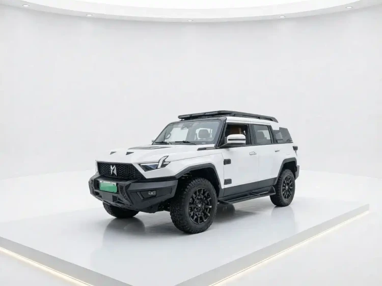 Mengshi 917 2023 Extended Range Base Version