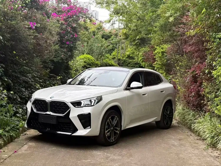 BMW X2 (Import) 2025 sDrive25i M Sport Package