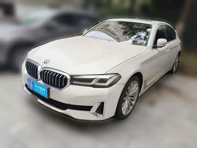 BMW 5 Series 2021 530Li Premium Luxury Package