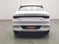 BYD Qin PLUS 2023 Champion Edition DM-i 120KM Excellence