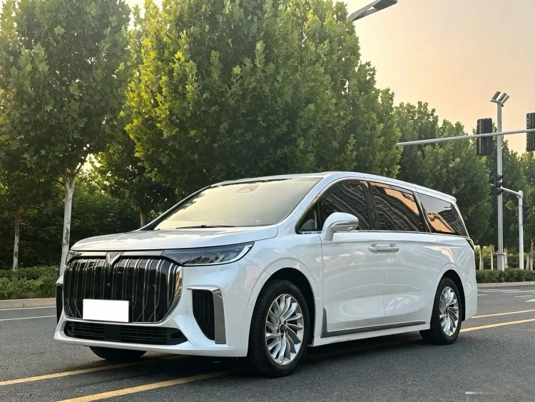 Voyah Auto Voyah Dreamer 2024 EV Long Range Premium Edition