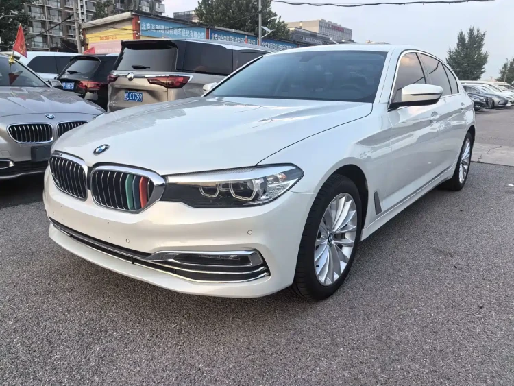 BMW 5 Series 2019 530Li Leading Luxury Package