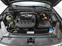 Volkswagen Magotan 2019 330TSI DSG Luxury Class China VI