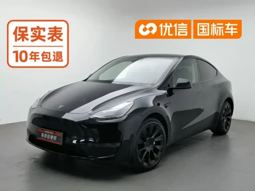 Tesla Model Y 2021 Model Long Range AWD