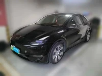 Tesla Model Y 2021 Standard Range Rear-Wheel Drive