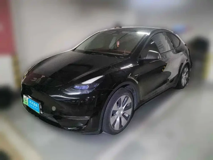 Tesla Model Y 2021 Standard Range Rear-Wheel Drive