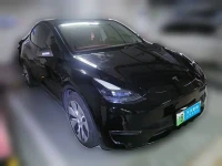 Tesla Model Y 2021 Standard Range Rear-Wheel Drive