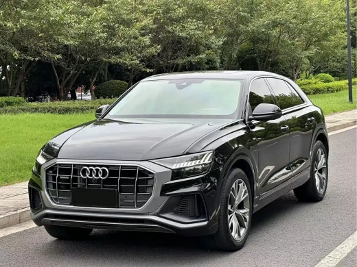 Audi Q8 2023 55 TFSI Luxury Sport