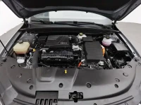 BYD Qin PLUS 2024 Glory Edition DM-i 55KM Leading