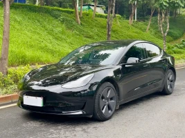 Tesla Model 3 2022 Model Rear-Wheel Drive Version