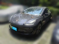 Tesla Model 3 2021 Standard Range Rear-Wheel Drive Upgrade