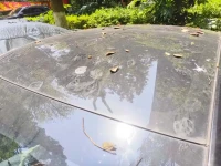 Tesla Model 3 2021 Standard Range Rear-Wheel Drive Upgrade