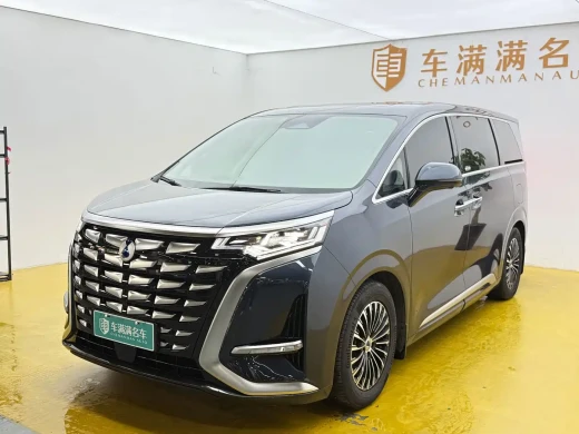 Denza D9 2024 DM-i 1050 Premium
